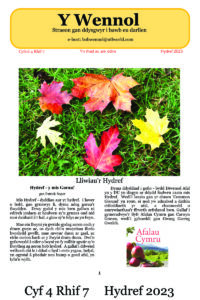 Wennol Hydref 2023 - Cyfrol 4 Rhif 7