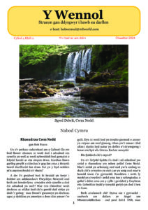 Wennol Chwefror 2024 - Cyfrol 4 Rhif 11