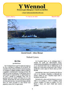 Wennol Mawrth 2024 - Cyfrol 4 Rhif 12
