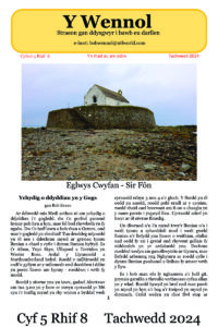 Wennol Tachwedd 2024 - Cyfrol 5 Rhif 8