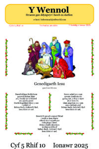 Wennol Ionawr 2025 - Cyfrol 5 Rhif 10