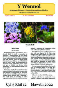 Wennol Mawrth 2023 - Cyfrol 3 Rhif 12