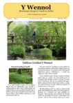 Wennol Mehefin 2025 - Cyfrol 6 Rhif 3