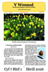 Wennol Ebrill 2026 - Cyfrol 7 Rhif 1